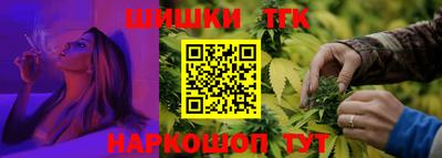 МДПВ Татарск