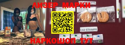 шишки Тверь
