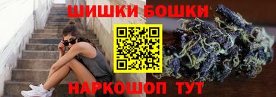 шишки Тверь