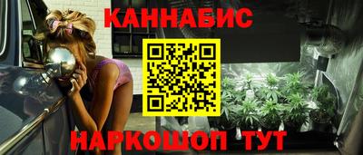 шишки Тверь