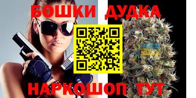 шишки Тверь